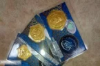 قیمت سکه پارسیان اعلام شد (۳ بهمن)