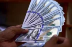 خبر فوری درباره سقوط قیمت در بازار دلار (جدول ۲۴ بهمن)