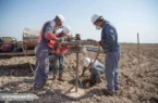 هوش مصنوعی به داد نفت ایران رسید هوش مصنوعی به داد نفت ایران رسید