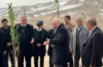 پایان کمربند سبز ۵۰ هزار هکتاری تهران پس از ۳۸ سال / درختکاری روی کوه‌های شمال تهران کلید می‌خورد
