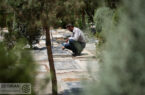 تهران در آستانه احداث سه آرامستان جدید؛ هشدار درباره بحران دفن اموات
