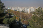 خشکی درختان پارک‌های جنگلی تهران؛ بحران از دل زمین و هجوم از تنه درختان
