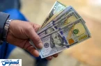 تسهیلات ارزی بلعیده شد ؛ خبری از بازگشت نیست!