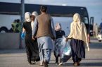 اجرای طرح «مجوزین بازگشت» برای بازگشت قانونمند اتباع
