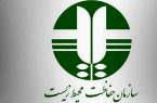 استخدام سالانه ۷۰۰ نیرو در دستور کار سازمان محیط‌زیست