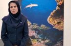 رصد کوسه‌ در سواحل کیش؛ پاسخ اداره محیط زیست به نگرانی‌ها