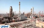 سلطه ۹۹ درصدی دولت دردسرساز شد