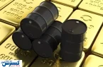 قیمت نفت سقوط کرد (۱۴۰۴/۴/۱۶)