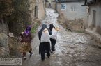 کدام استان‌ها بالاترین میزان پرداخت تسهیلات مسکن روستایی داشتند؟