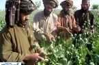 اخراج افغان‌ها برای ایران شر شد !