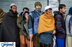 اخراج مهاجران افغان بازار مسکن ایران را فلج کرد ؟