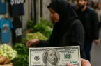 قیمت دلار آزاد باز هم صعودی شد | جدول ۱۹ مرداد