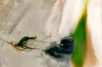 چشم ایران روشن شد چشم ایران روشن شد