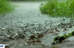 از باران خبری نیست؛ برای کیفیت آب هشدار صادر شد
