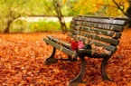 سفر پاییزی ارزان و جذاب در داخل ایران | راهنمای جامع اماکن دلچسب سفر پاییزی ارزان و جذاب در داخل ایران | راهنمای جامع اماکن دلچسب