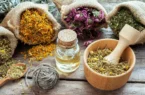 گیاهان دارویی پرکاربرد در طب سنتی و خواص آنها گیاهان دارویی پرکاربرد در طب سنتی و خواص آنها