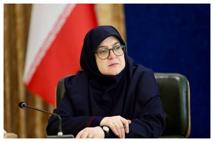 مهاجرانی: حذف ارز برنج بهدرخواست واردکنندگان بود
