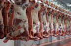 ۹۰ درصد گوشت قرمز از داخل تأمین میشود ۹۰ درصد گوشت قرمز از داخل تأمین میشود