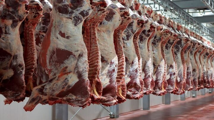 ۹۰ درصد گوشت قرمز از داخل تأمین میشود