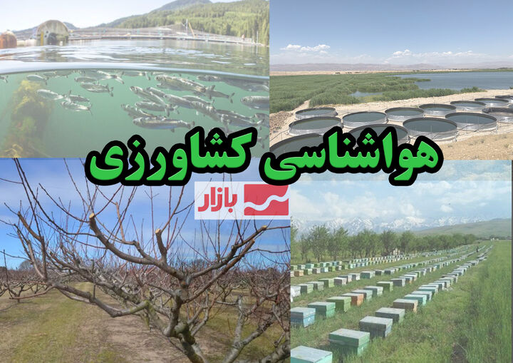 صدور هشدار نارنجی سازمان هواشناسی برای کشاورزان