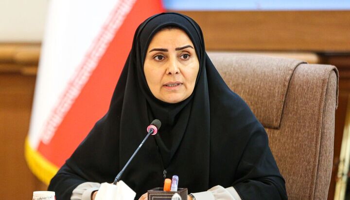 واکنش وزیر راه به محدودیت پرواز شبانه از برخی کشورها