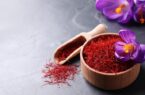 زعفران تقلبی؛ معضل بزرگ بازار است | نقش صنف چاپخانه داران در توزیع گسترده طلای سرخ جعلی زعفران تقلبی؛ معضل بزرگ بازار است | نقش صنف چاپخانه داران در توزیع گسترده طلای سرخ جعلی