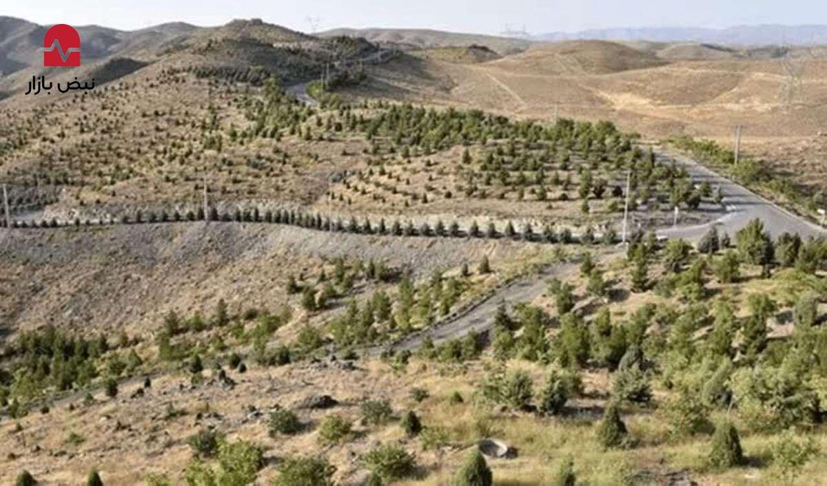 تشکیل قرارگاه جهادی «سرو ایران»/ «کامران پورمقدم» رئیس این قرارگاه شد