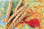 تجارت جهانی گندم در سایه بحران هرمز؛ قیمت صادرات گندم ۵ تا ۱۵دلار در تن افزایش یافته است