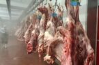 افزایش هزینه بستهبندی گوشت چقدر روی قیمت اثر دارد؟ / دبیر انجمن تولید و بستهبندی گوشت توضیح داد افزایش هزینه بستهبندی گوشت چقدر روی قیمت اثر دارد؟ / دبیر انجمن تولید و بستهبندی گوشت توضیح داد