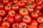 بازار صادراتی جان گرفت / دستور تازه گمرک برای خروج آزادانه سه کالای حساس بازار صادراتی جان گرفت / دستور تازه گمرک برای خروج آزادانه سه کالای حساس