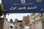 تبعات حمله به انستیتو پاستور ایران؛ تهدید بهداشت عمومی