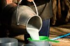 دامداران در انتظار اصلاح قیمت شیر خام دامداران در انتظار اصلاح قیمت شیر خام