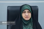 رفیعی: مجلس بر اجرای کامل مفاد تفاهم نظارت مستمر خواهد داشت
