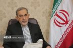 ولایتی: انتخاب با شماست؛ توقف حماقت یا ورود به موازنه دو تنگه ولایتی: انتخاب با شماست؛ توقف حماقت یا ورود به موازنه دو تنگه
