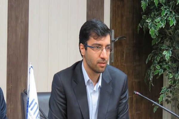صفوی: امنیت سلامت با اقدامات مقطعی شکل نمیگیرد