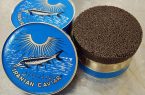 قیمت خاویار سنتی دربازارهای جهانی چقدر است؟| افزایش ۲۰۱درصدی میانگین قیمت خاویارسنتی ایران قیمت خاویار سنتی دربازارهای جهانی چقدر است؟| افزایش ۲۰۱درصدی میانگین قیمت خاویارسنتی ایران