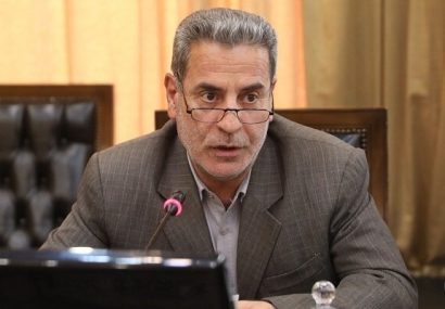 هادیان‌پور: سال گذشته ۳۴۰ هزار تن مرغ مازاد بر نیاز تولید شد