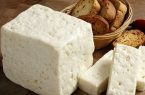 بازار ۵۰ میلیارد دلاری پنیر در سال ۲۰۲۵؛ اروپا همچنان قلب تجارت جهانی پنیر است