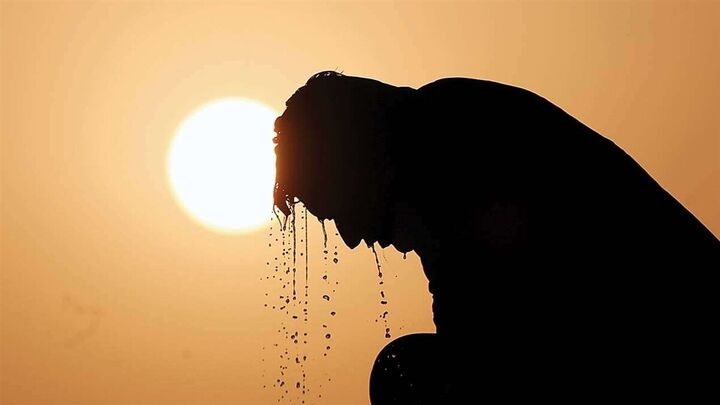 تلفات بیسابقه گرما در آلمان