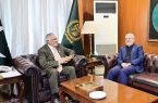 رایزنی وزیرخارجه پاکستان و سفیر ایران؛ تأکید بردیپلماسی جهت ثبات منطقه رایزنی وزیرخارجه پاکستان و سفیر ایران؛ تأکید بردیپلماسی جهت ثبات منطقه