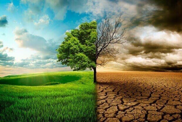 زنگ خطر النینو برای اقتصاد جهان؛ شرکتهای بزرگ در آمادهباش