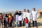 عمادی: خدمات پزشکی نباید محدود به بیمارستان و درمانگاه باشد عمادی: خدمات پزشکی نباید محدود به بیمارستان و درمانگاه باشد