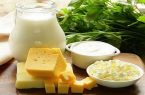 نگاه طب ایرانی به اثرات درمانی پروبیوتیکها نگاه طب ایرانی به اثرات درمانی پروبیوتیکها
