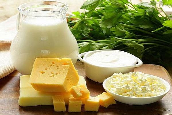 نگاه طب ایرانی به اثرات درمانی پروبیوتیکها