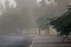 هشدار نسبت به وزش تندباد در تهران| احتمال سقوط برخی اجسام از ارتفاع
