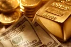 کاهش قیمت دلار با این اخبار/ بازار منتظر یک اتفاق مهم است! کاهش قیمت دلار با این اخبار/ بازار منتظر یک اتفاق مهم است!