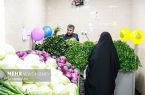 الزامات سبزی خوردن بستهبندی اعلام شد الزامات سبزی خوردن بستهبندی اعلام شد
