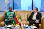 دیدار و گفتگوی عراقچی با وزیر خارجه بورکینافاسو دیدار و گفتگوی عراقچی با وزیر خارجه بورکینافاسو