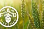 شاخص قیمت جهانی مواد غذایی در مسیر صعود؛ شکر پیشتاز گرانی شاخص قیمت جهانی مواد غذایی در مسیر صعود؛ شکر پیشتاز گرانی