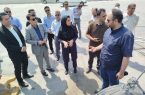 علیمرادی: گوگسر جاسک به رویه ملوانی اضافه می‌شود